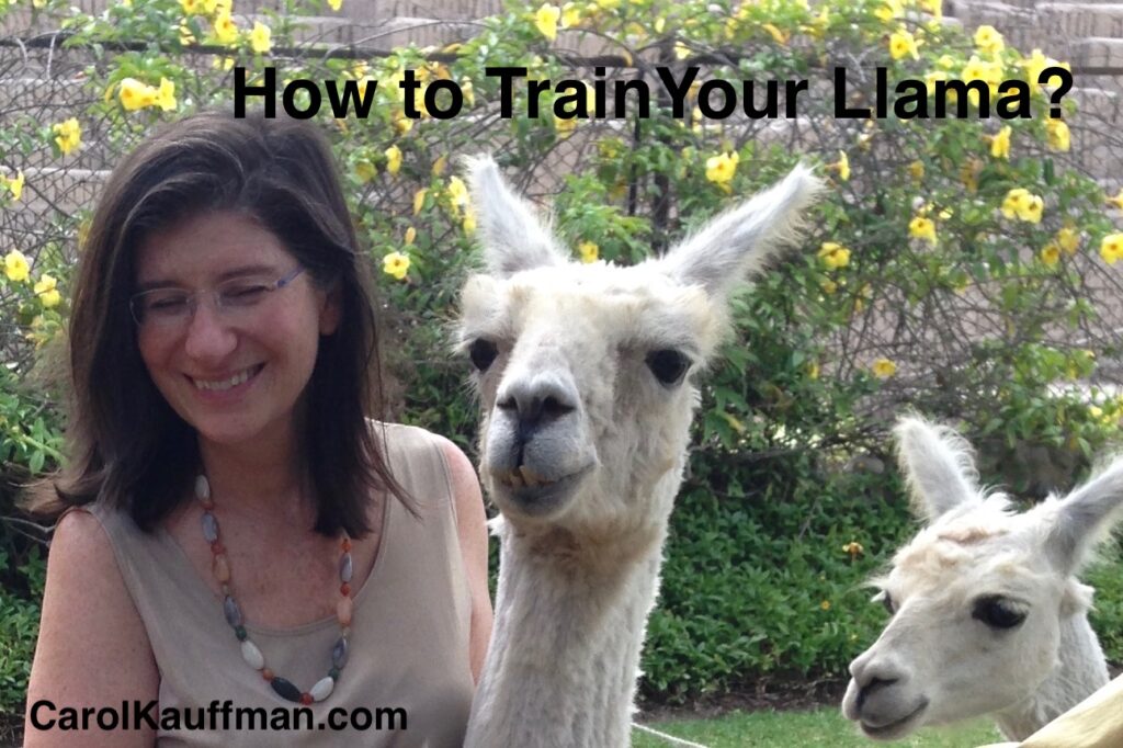 how to train your llama